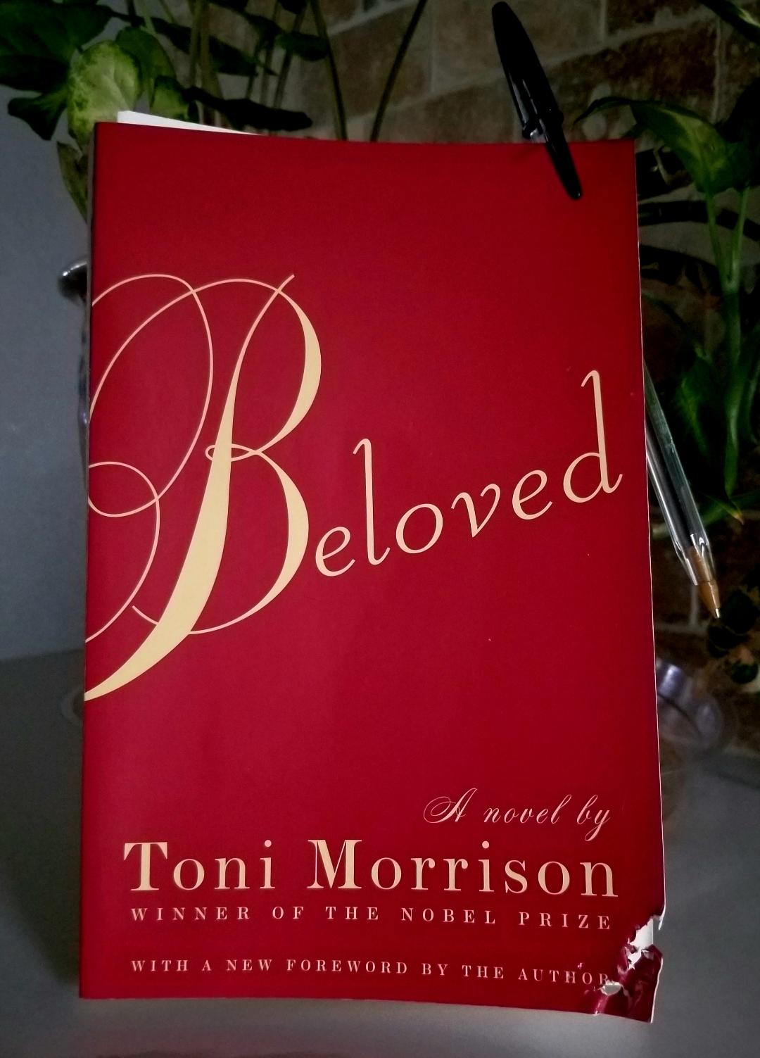 Beloved Cover