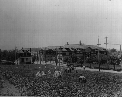 Glencoe Garden 1917