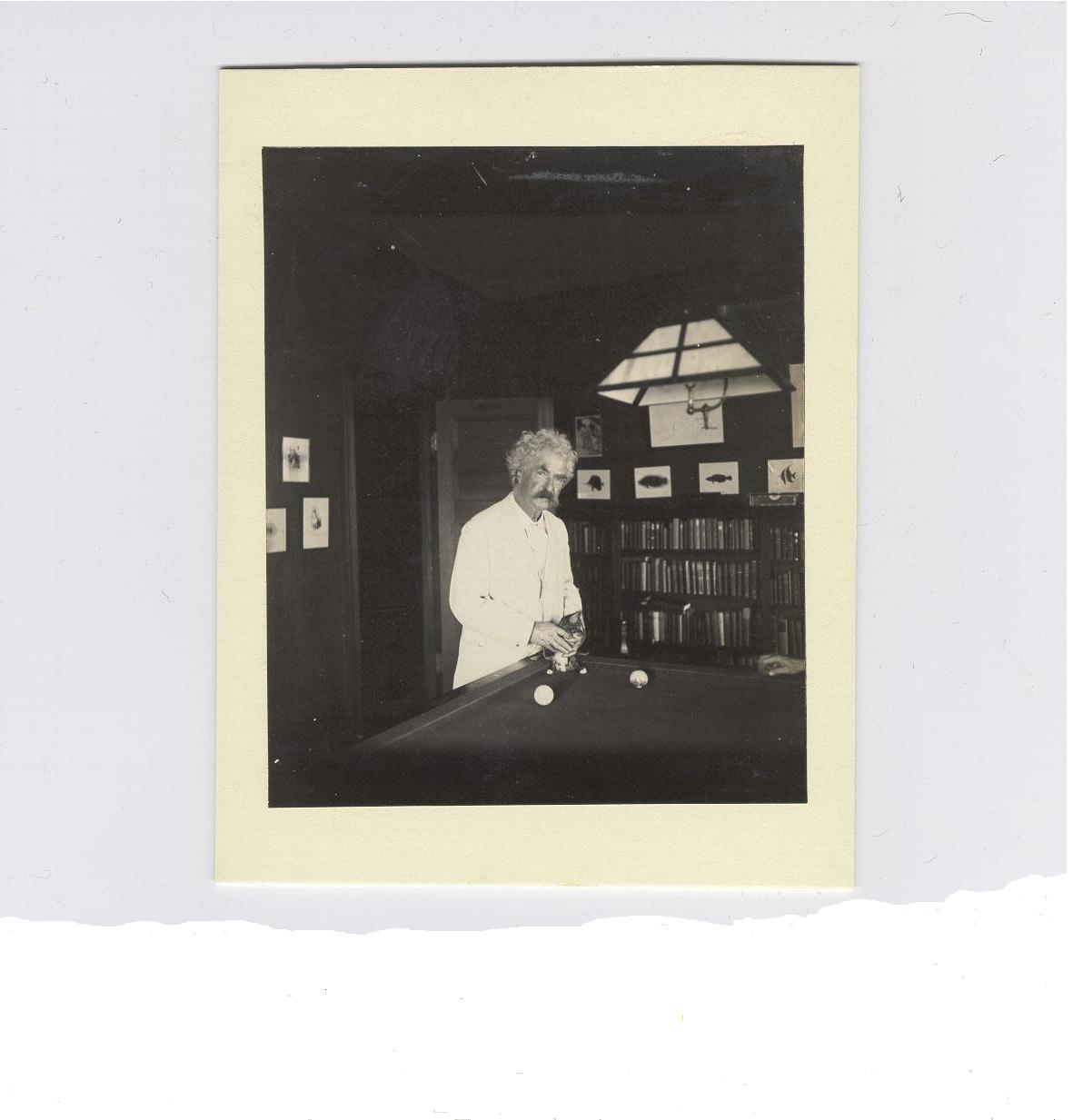 marktwain-kitten-billiard-table bRKR