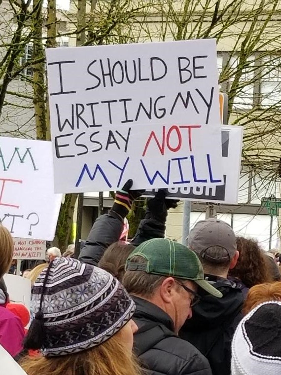 Write an Essay not a Will